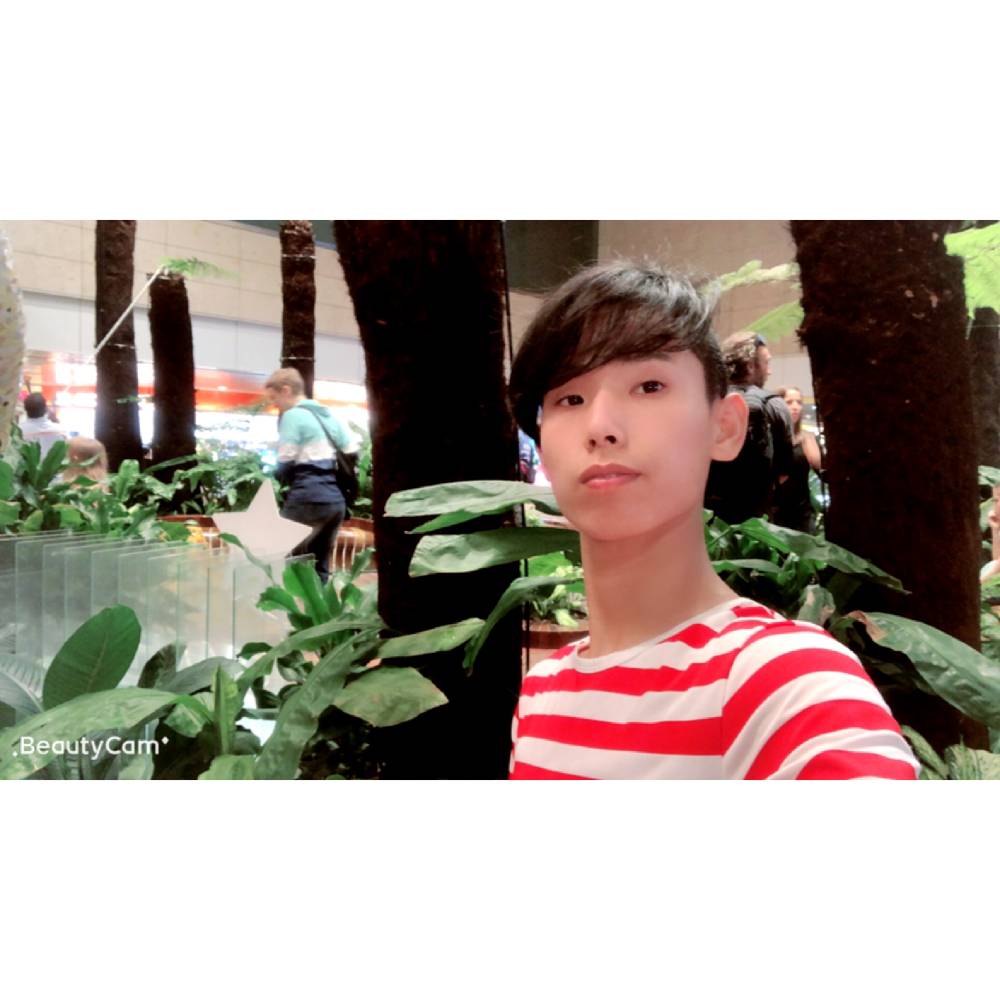 画笔吃醋典雅的照片