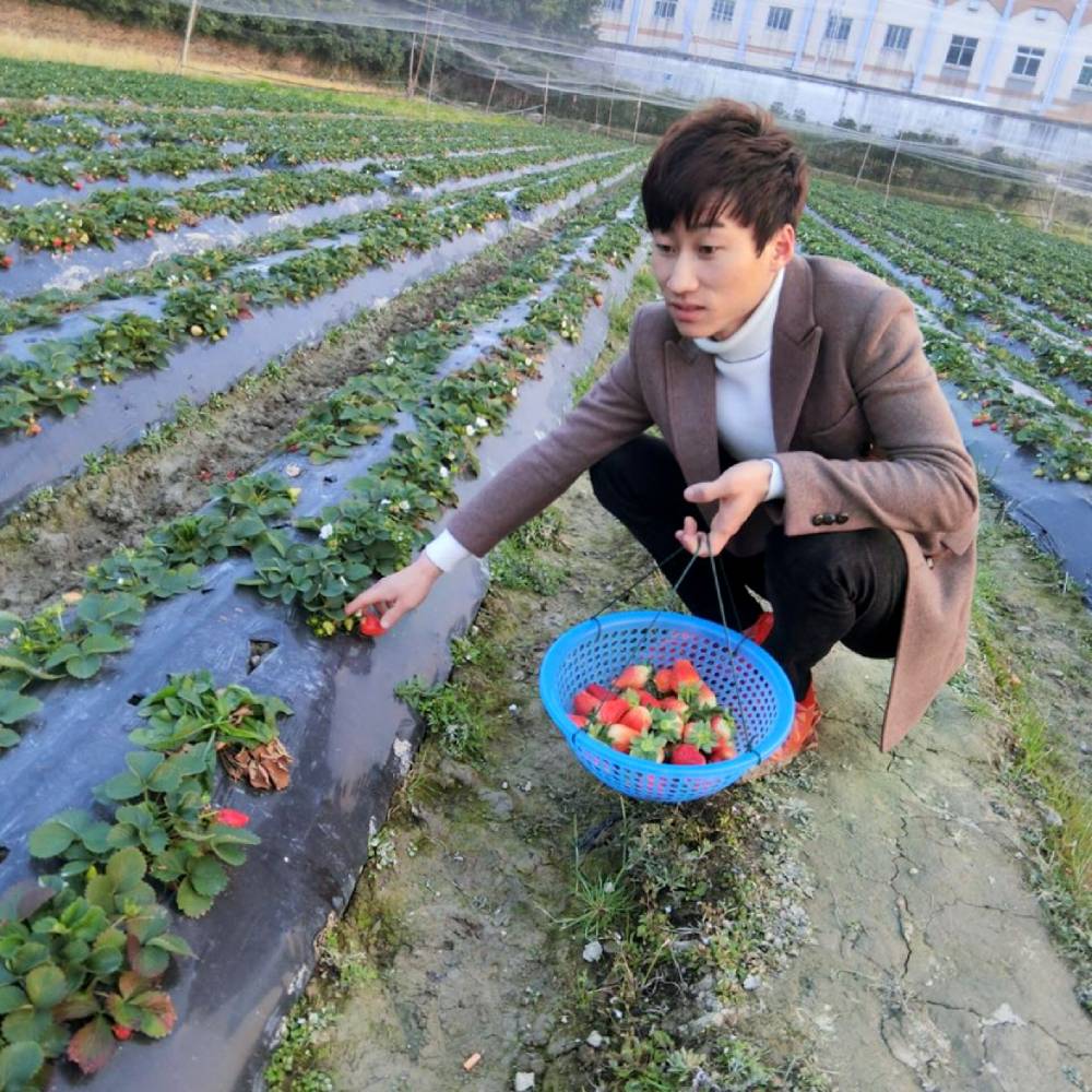 追寻回眸盼望的照片