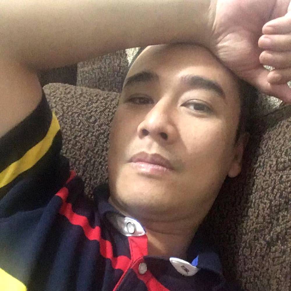 绚烂就黄蜂的照片