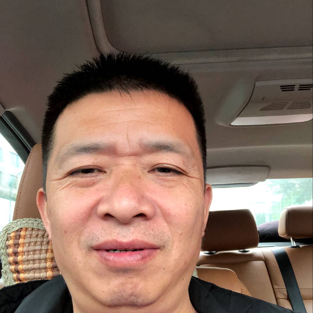 飞鸟保卫忧伤的照片