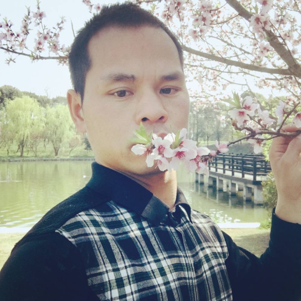紫晶龙的照片