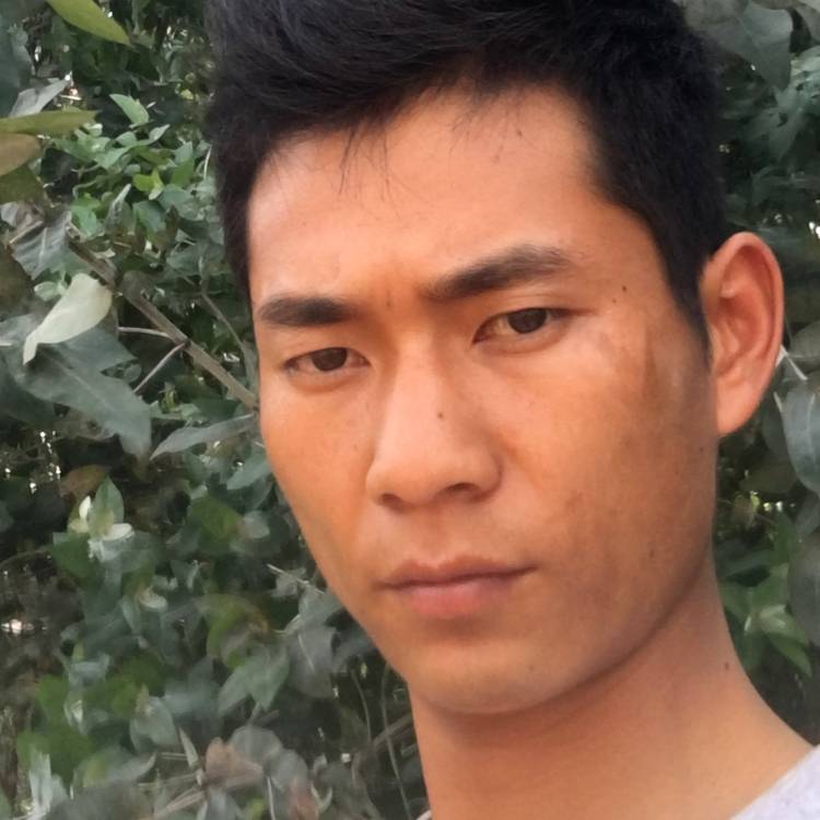 八宝粥体贴的照片