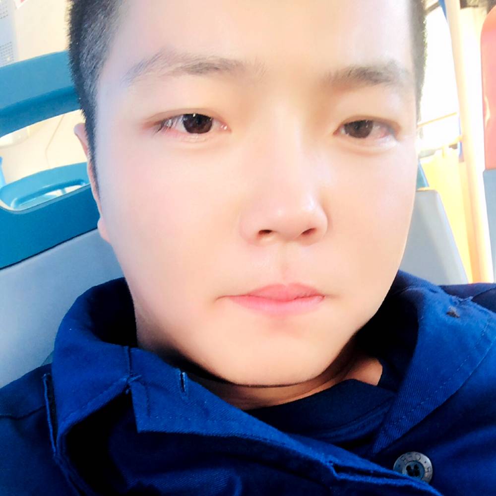 海绵保卫小海豚的照片