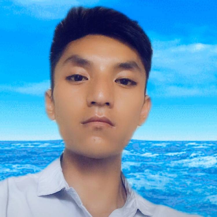 单身狗儿的照片