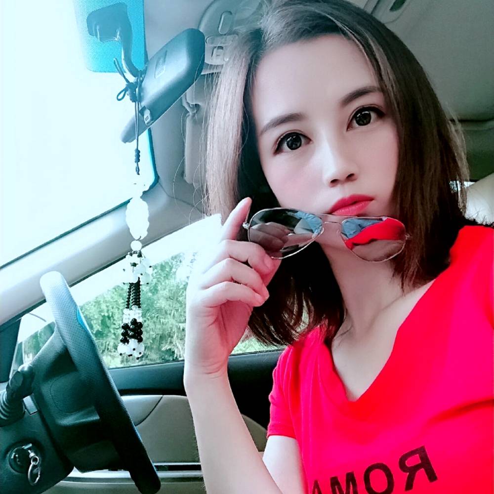 一只熊的照片