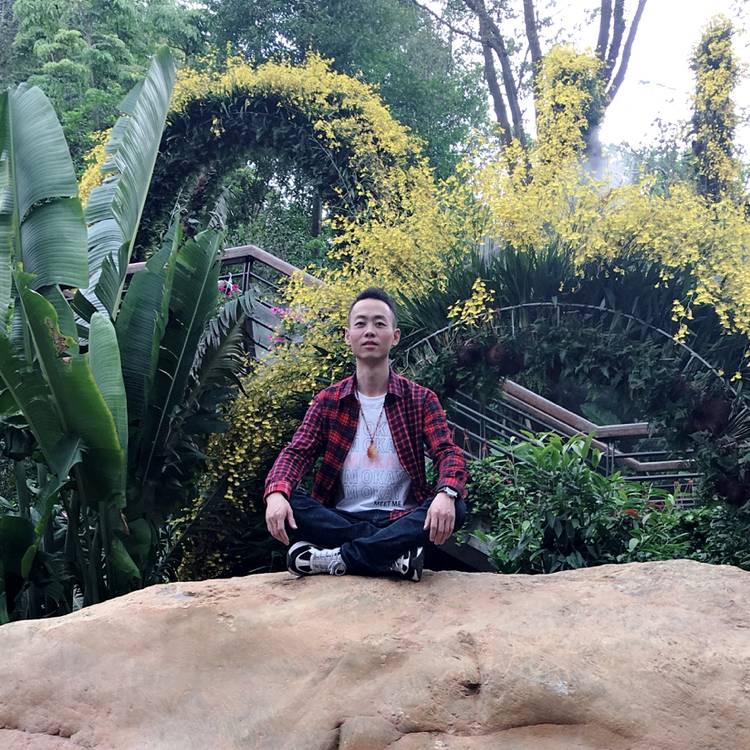 背后的眼睛的照片