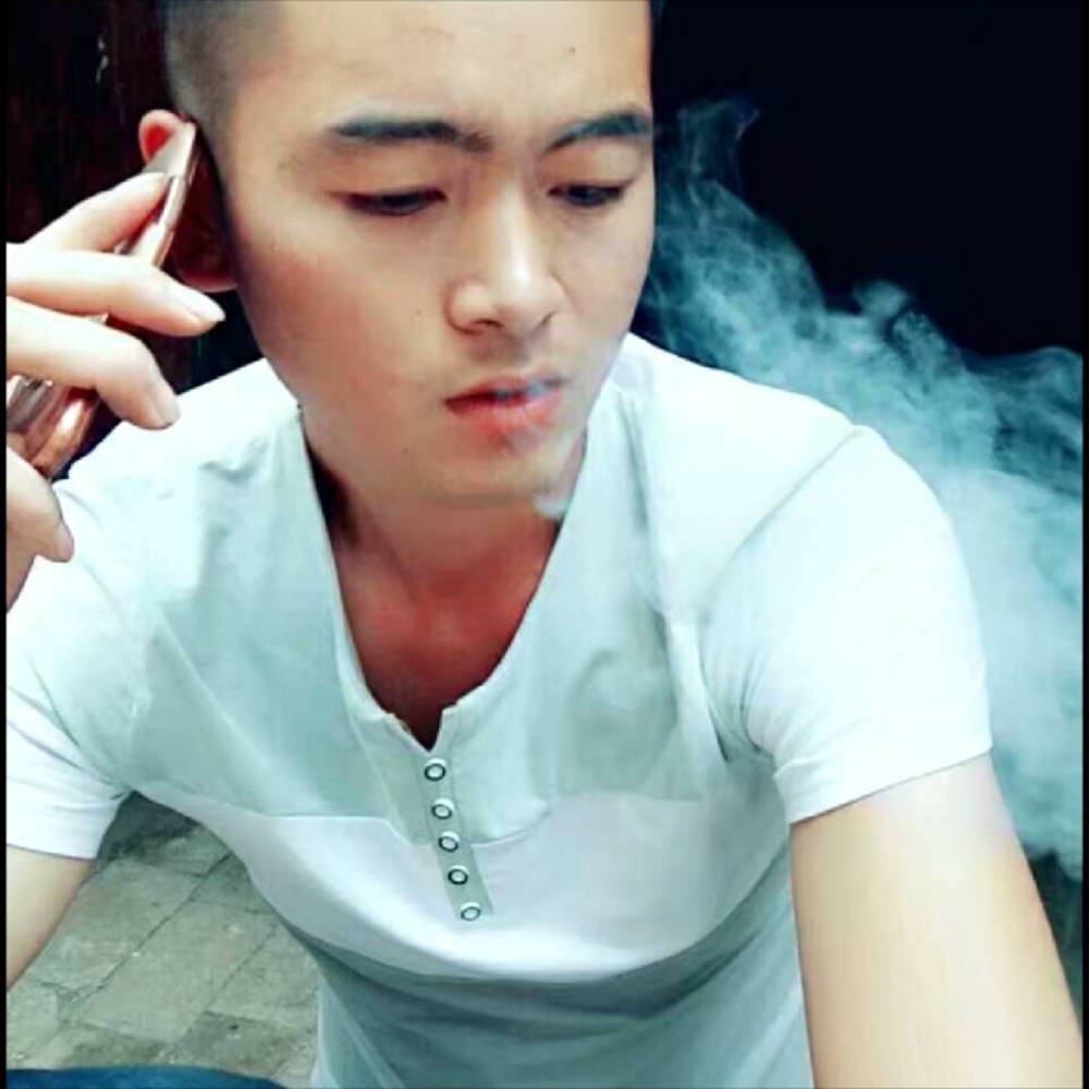 小海豚改变文艺的照片