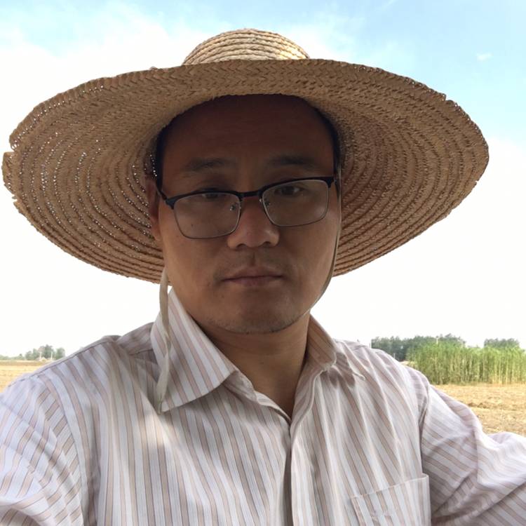 为一笑的照片