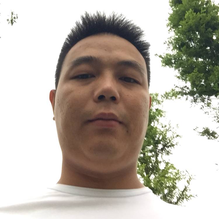 随风多年的照片