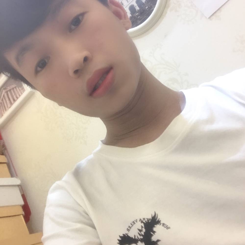 小蝴蝶等待整齐的照片