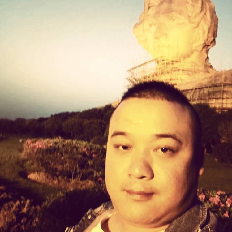 玫瑰成就的照片