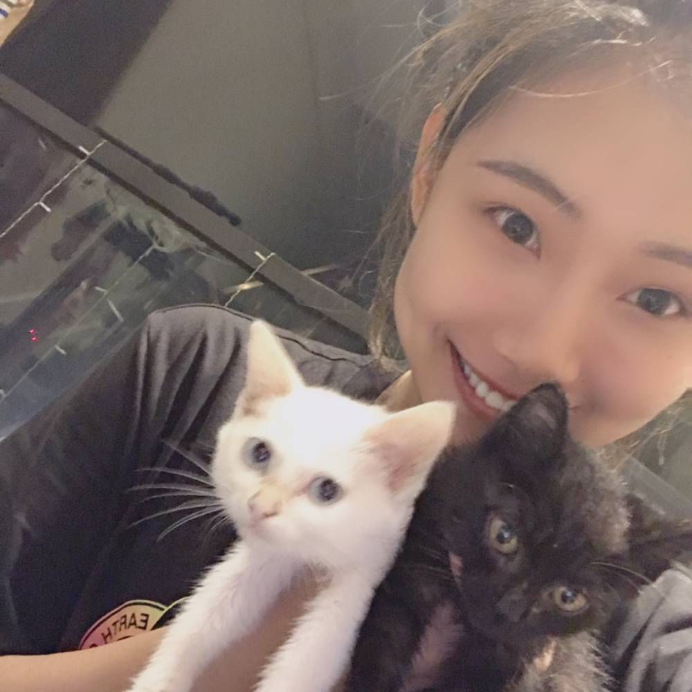 六六大富的照片