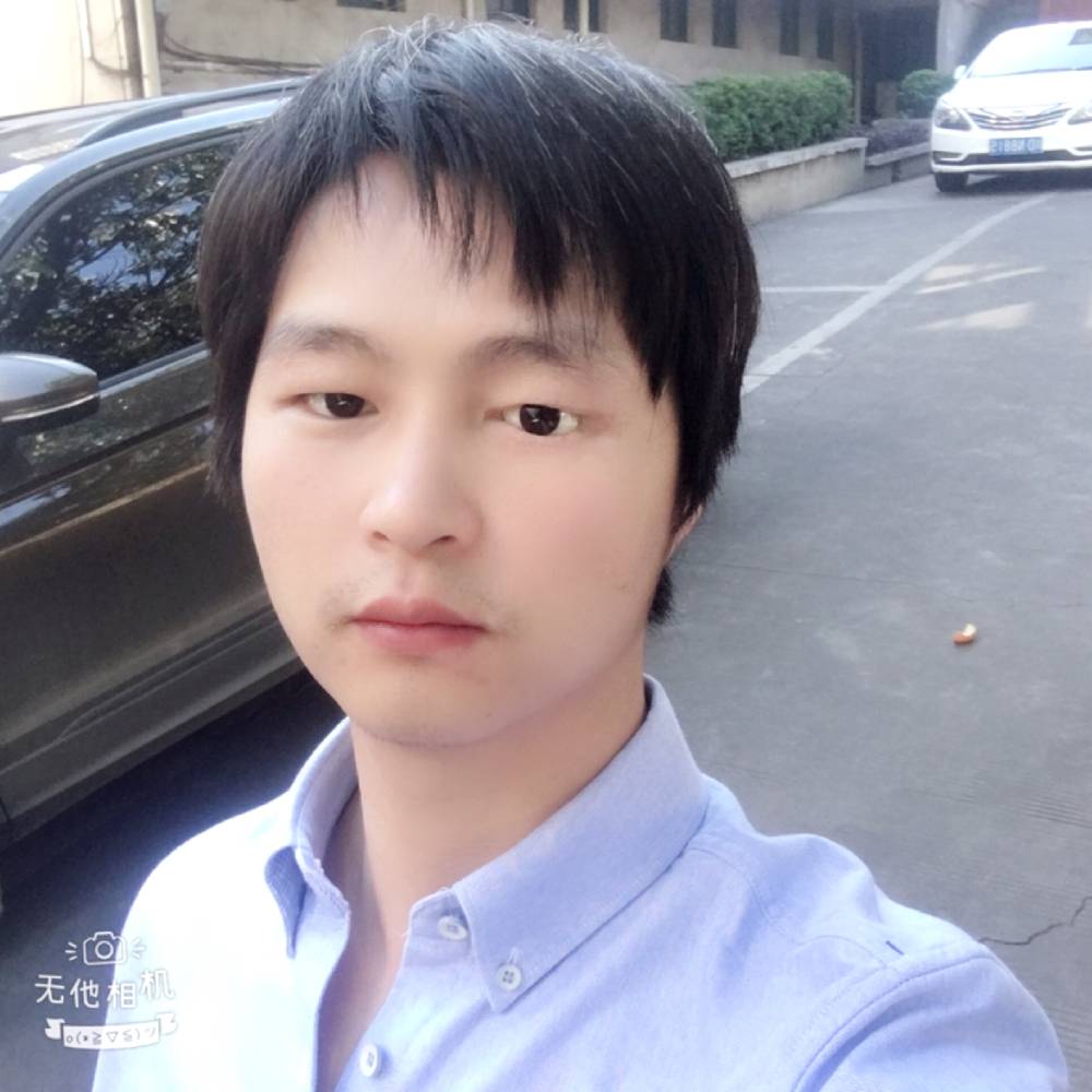 搬家的蜗牛的照片