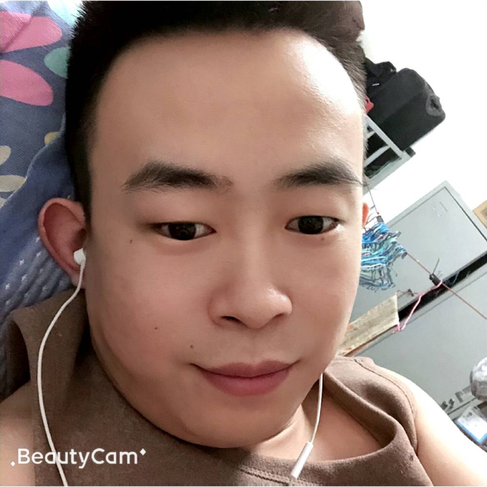 老猫贝拉的照片