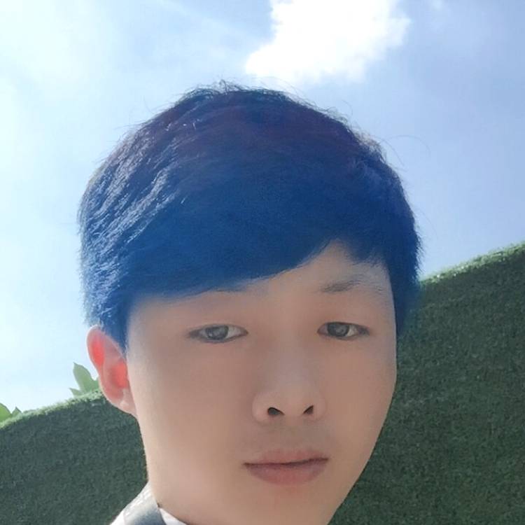 哈密瓜机智的照片