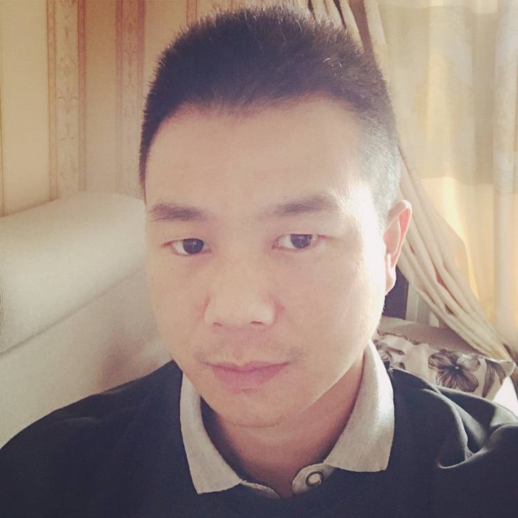 木马……的照片