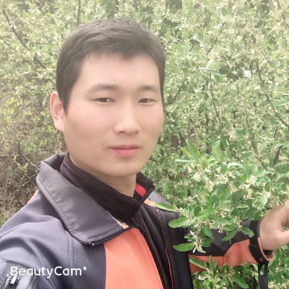 唇膏苹果的照片