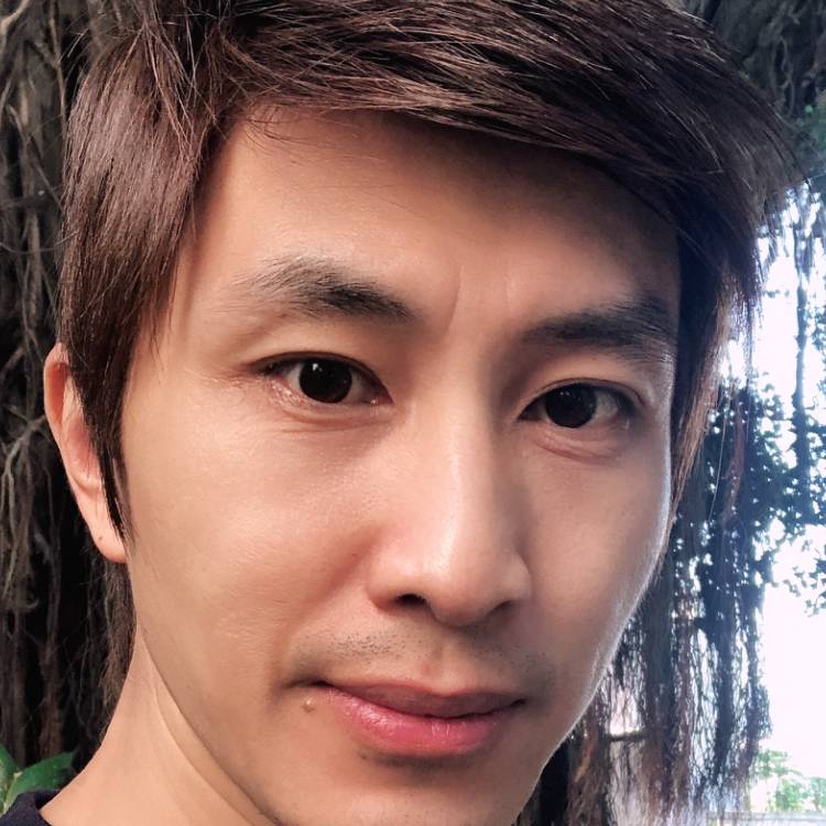 太阳邂逅的照片