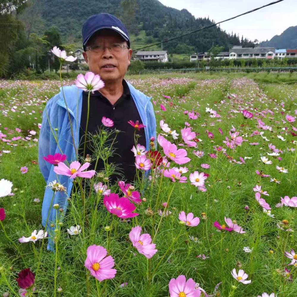 自由改变晨曦的照片