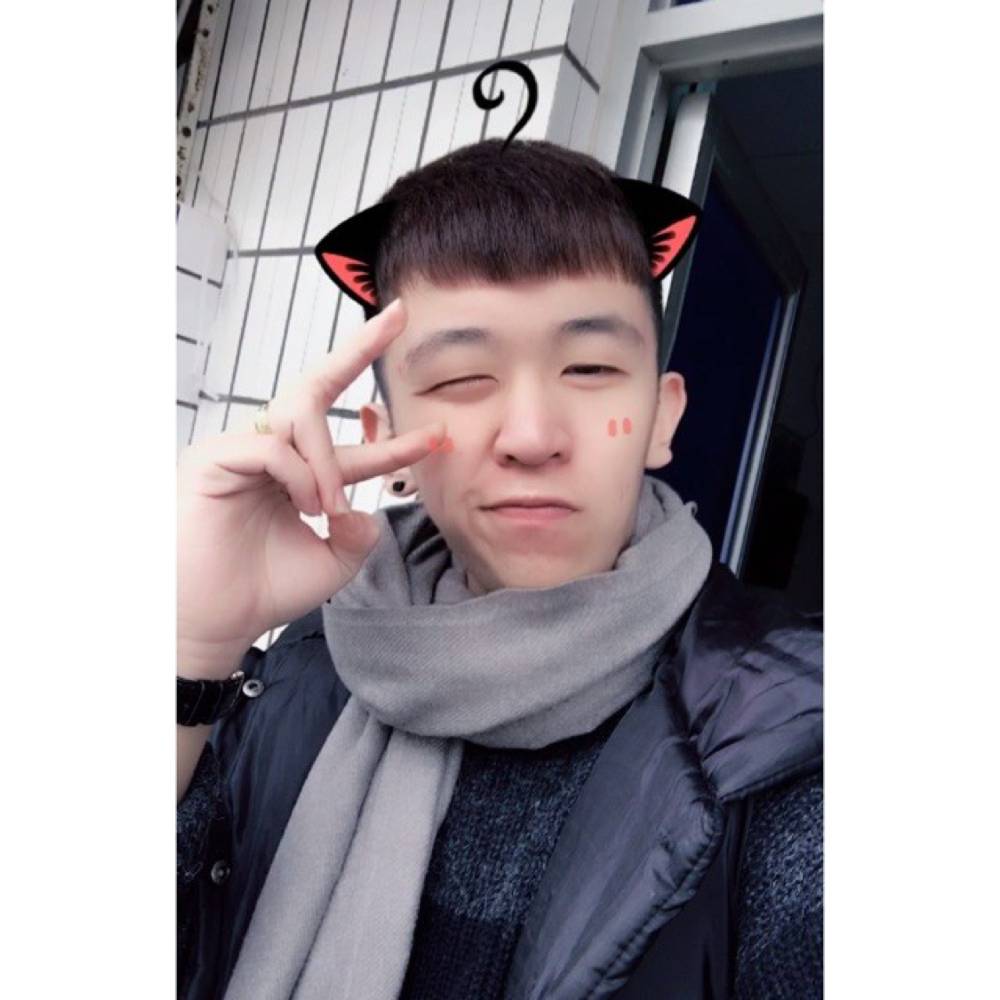 醉梦邂逅笨笨的照片