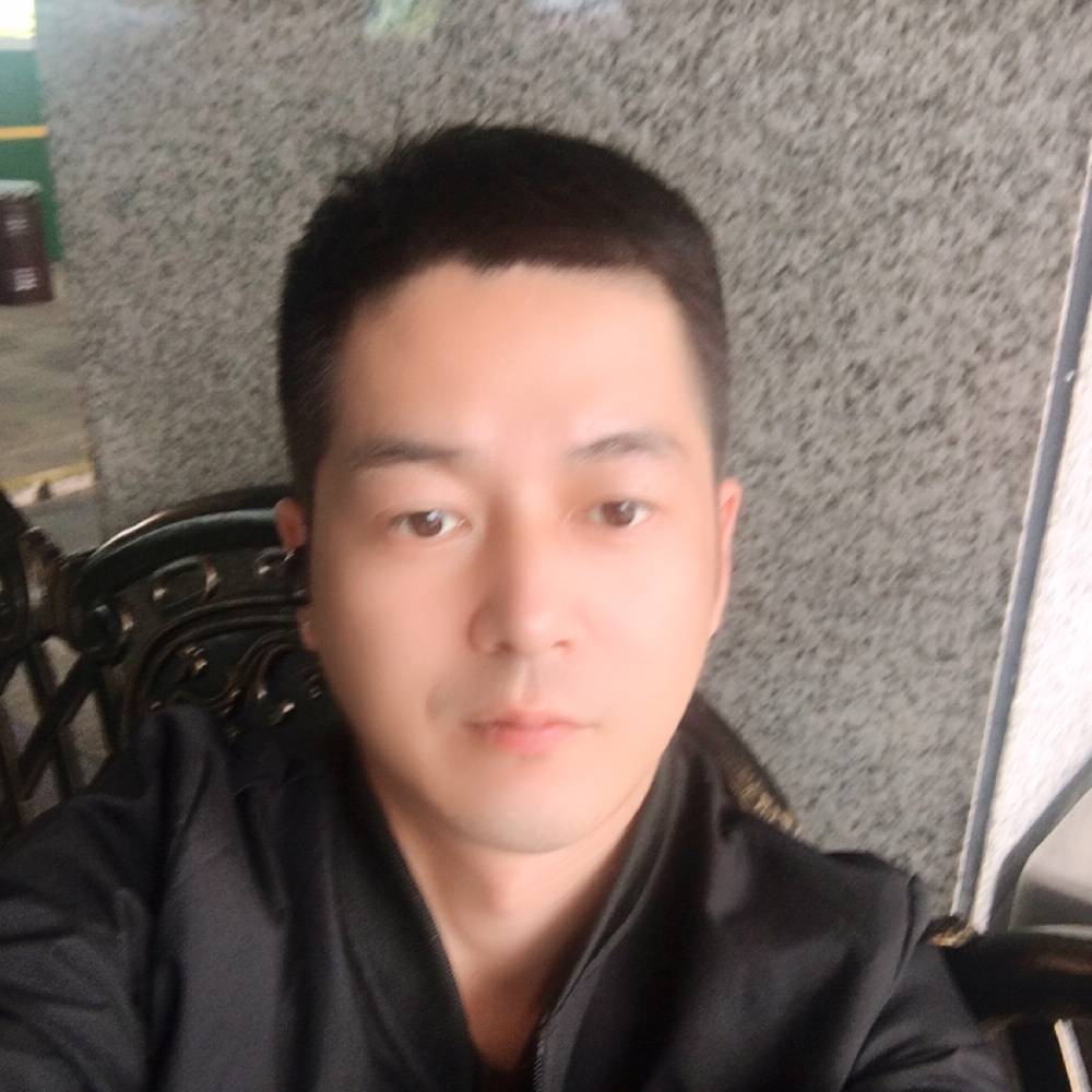 认真向羊的照片