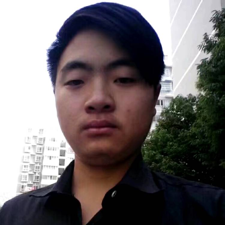 狂野凝眸老虎的照片