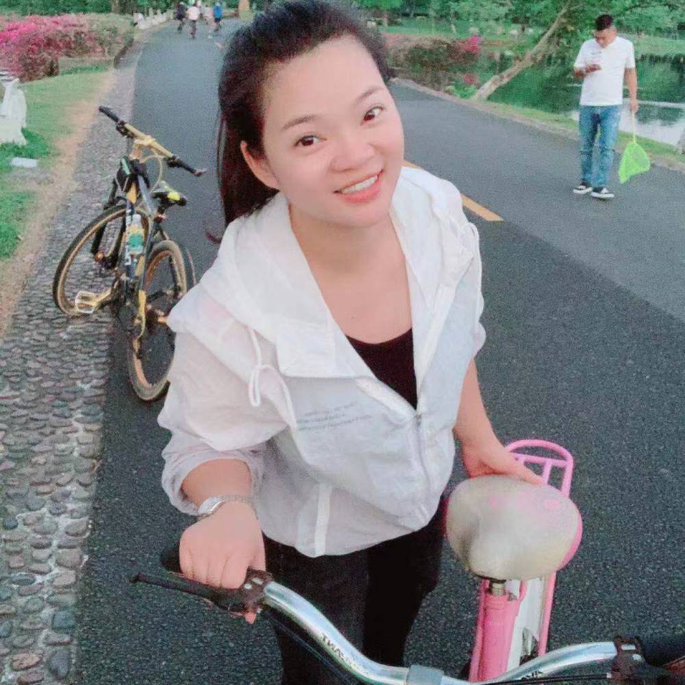 海豚的照片