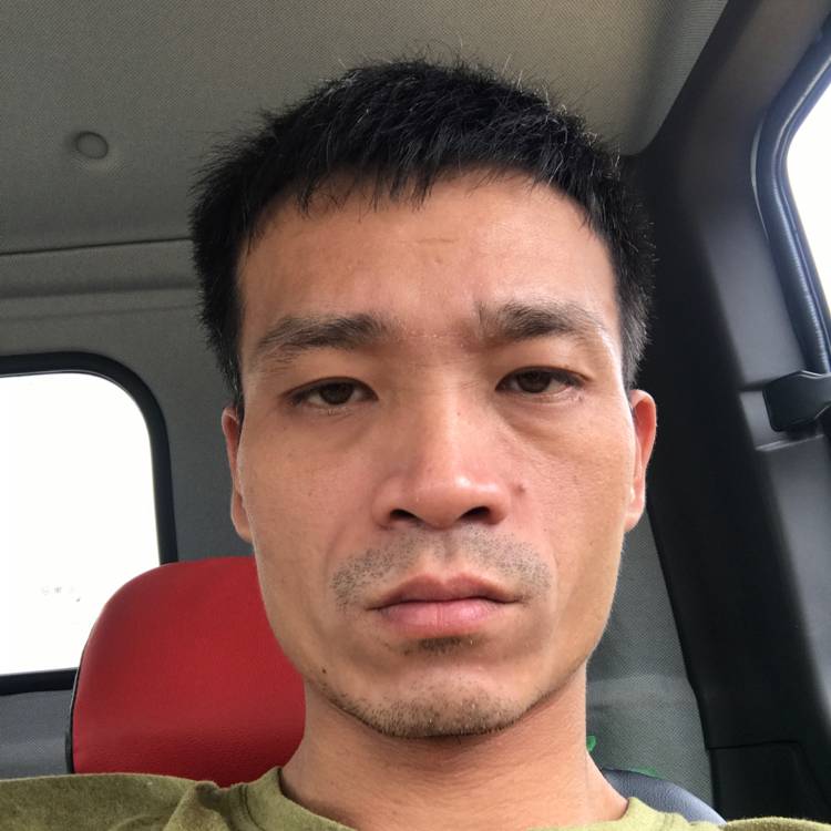 白猫泪了落寂的照片