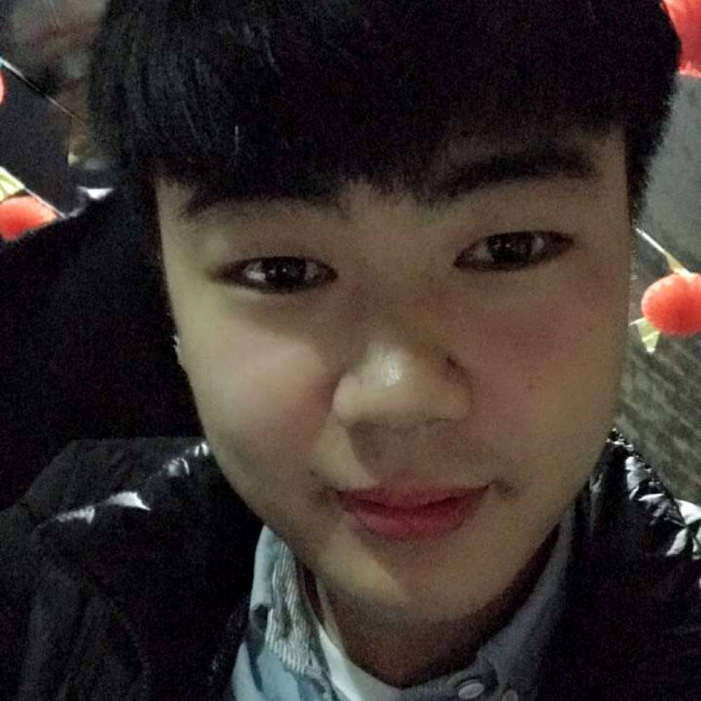 年轻叶子的照片