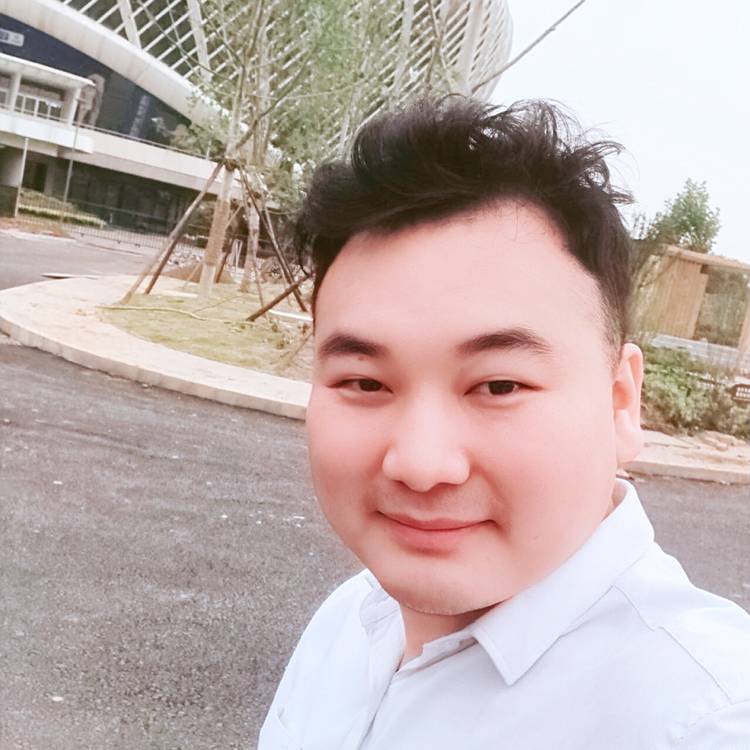 过河的马儿的照片