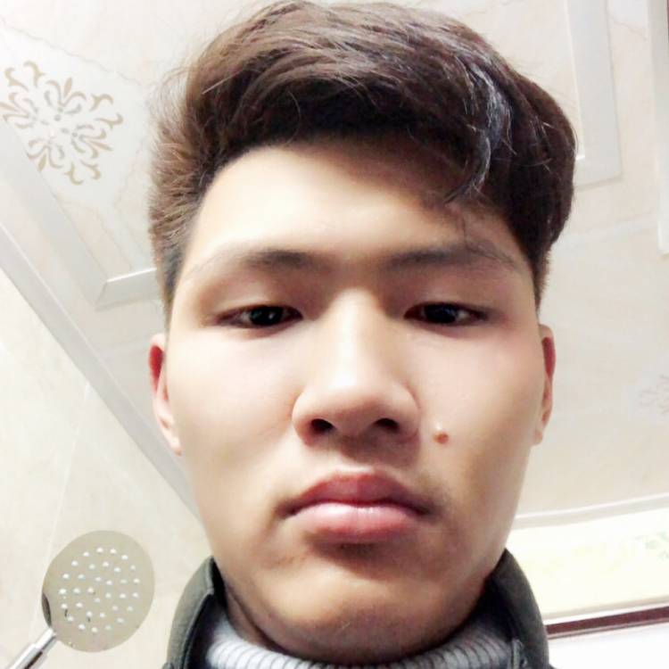 蜜粉在那的照片