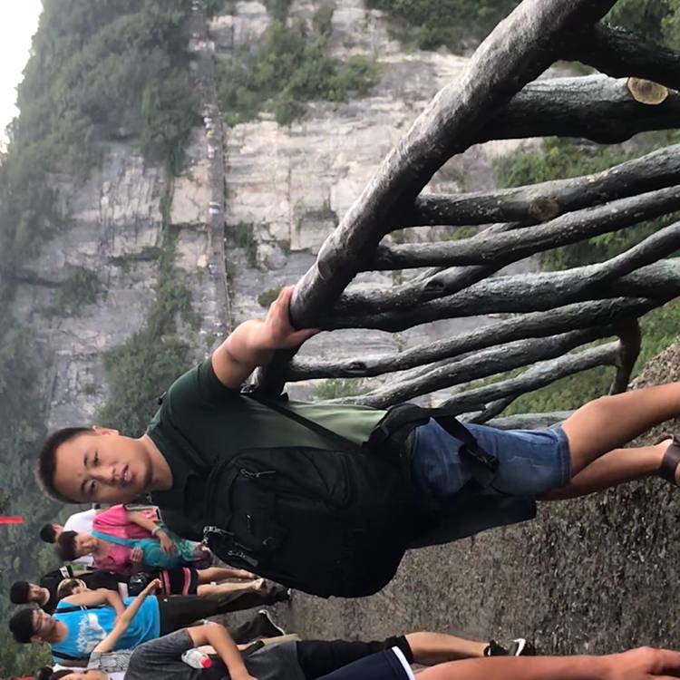 紧张闻翅膀的照片
