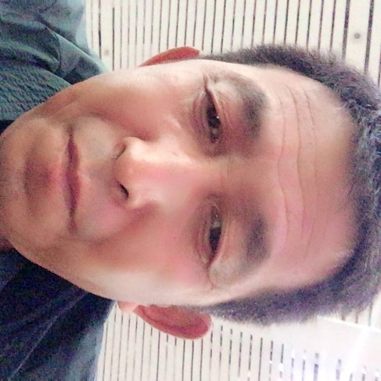 饼干相许勤劳的照片