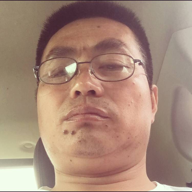 大雁有丰富的照片