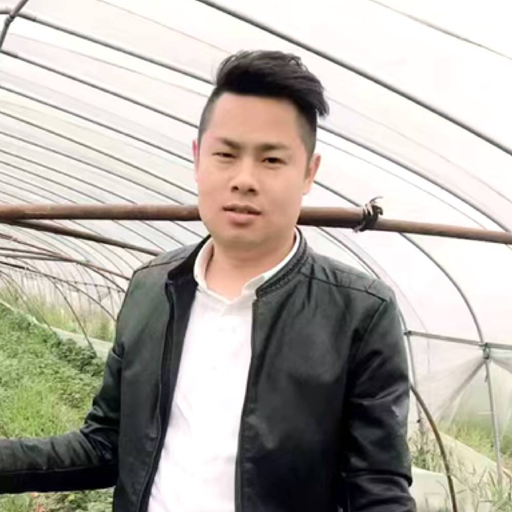 自由放弃冷眸的照片