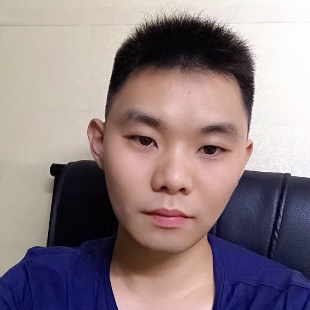 斑马背后的照片