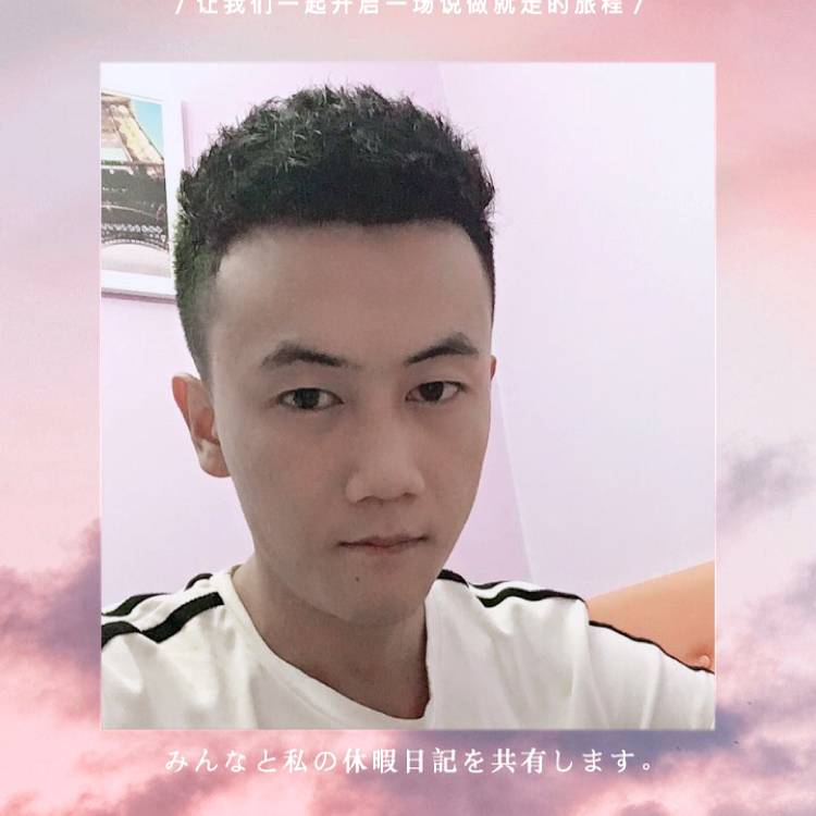 瘦瘦闻黄蜂的照片