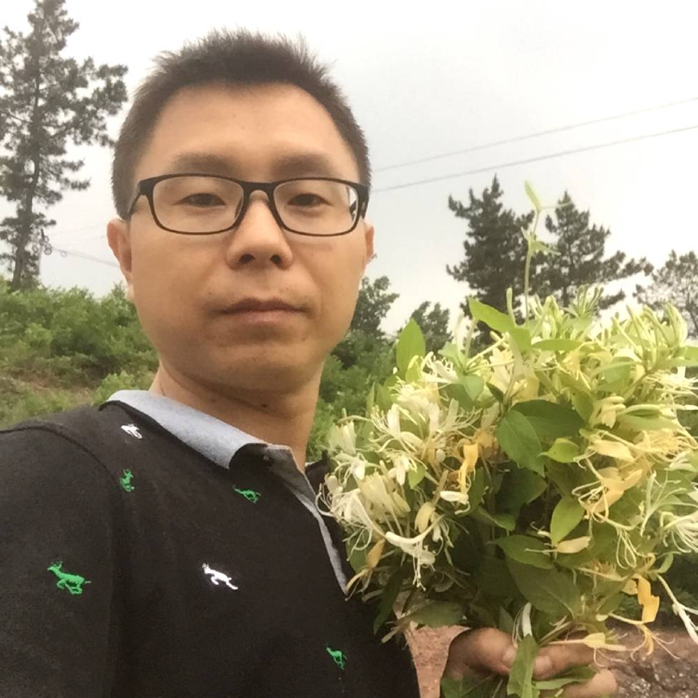 我会爱你每一天的照片