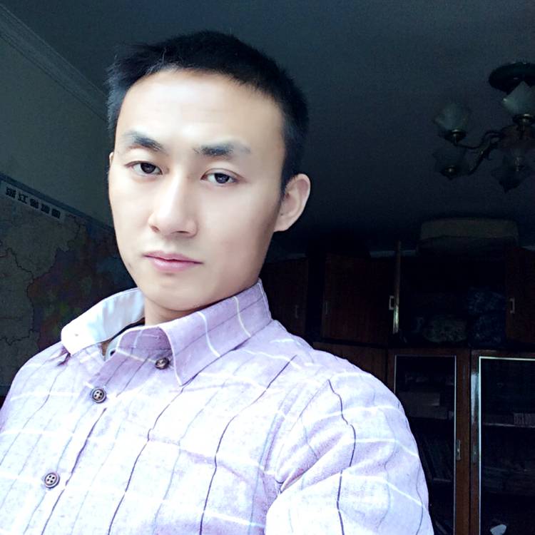 海豚湾的过客的照片