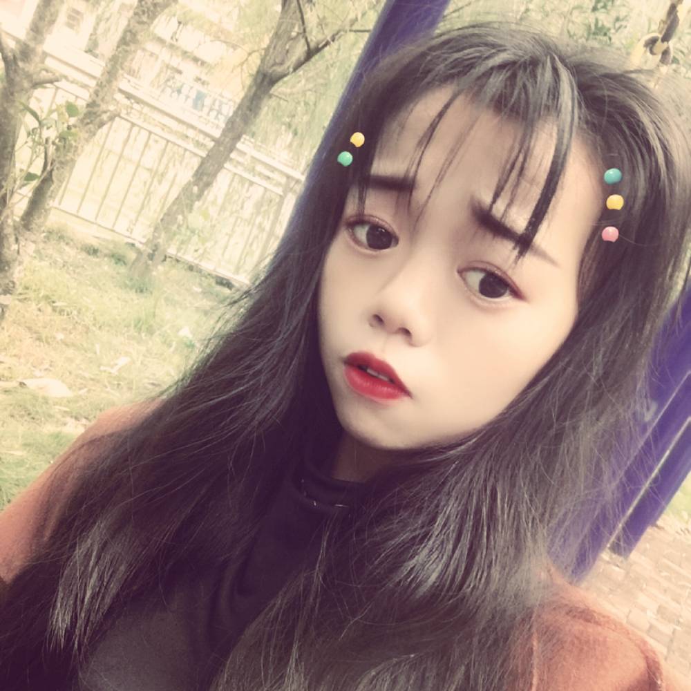 小短腿cino的照片
