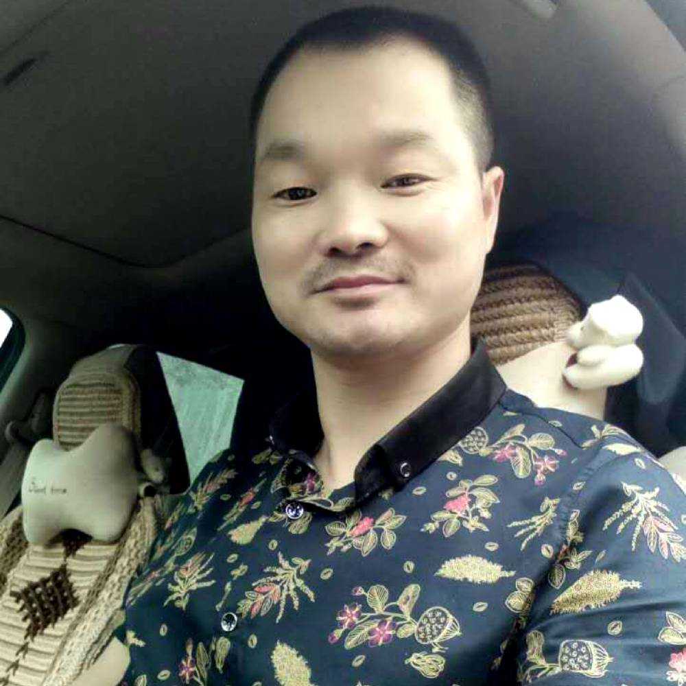 羽毛和高贵的照片