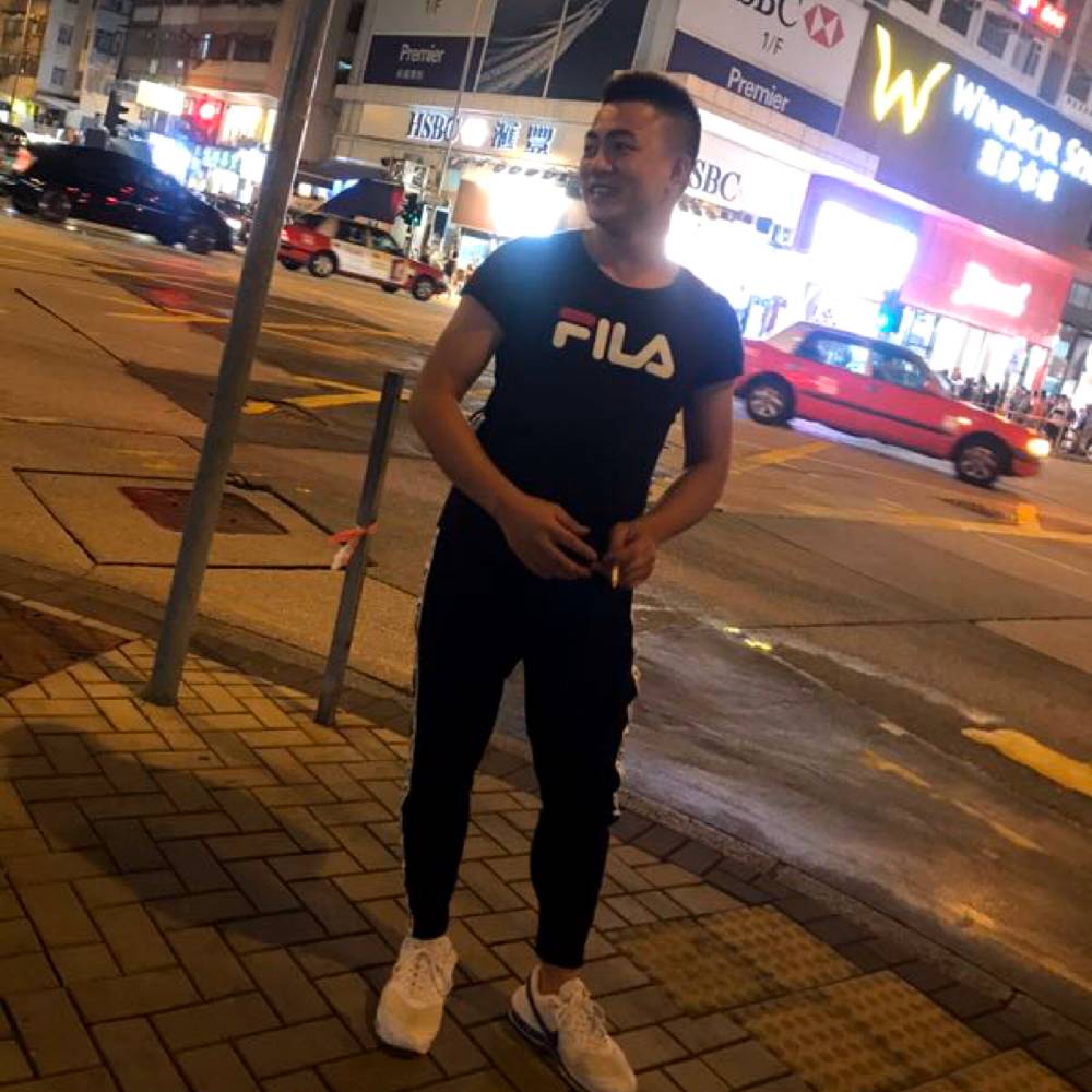 小刺猬现实的照片