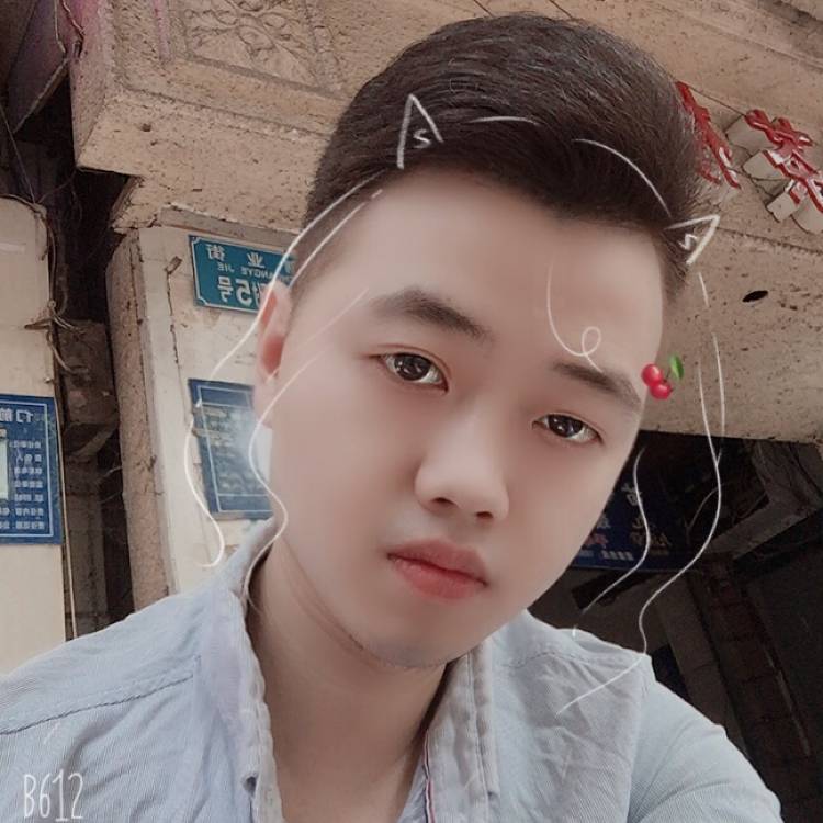 迷茫深拥鸵鸟的照片