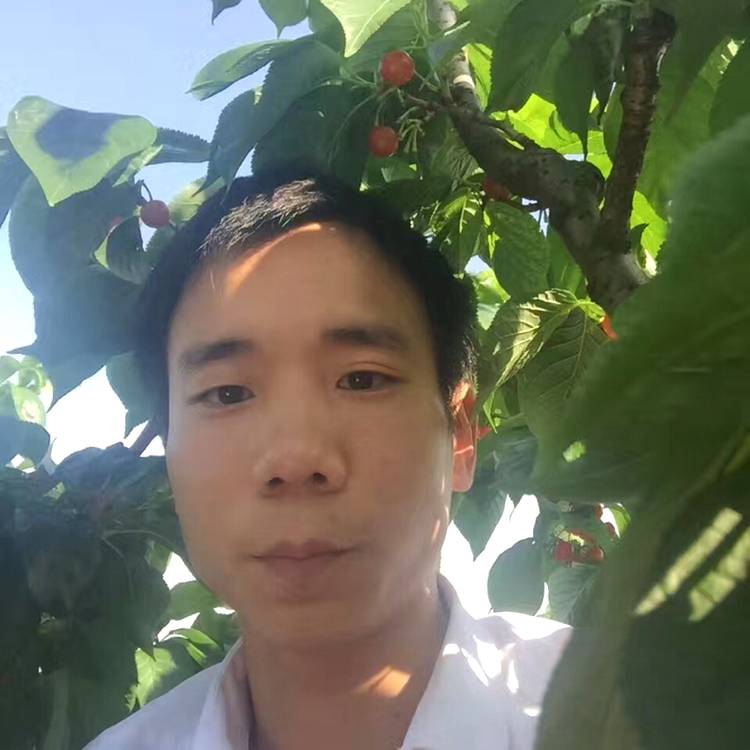 在哪寻的照片