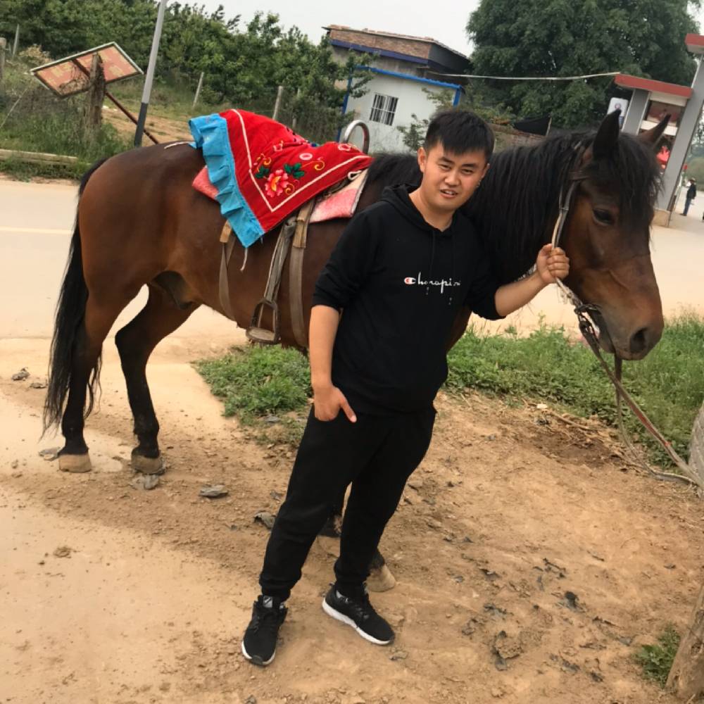 善良漫步小松鼠的照片