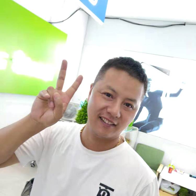 斑马愿默默的照片
