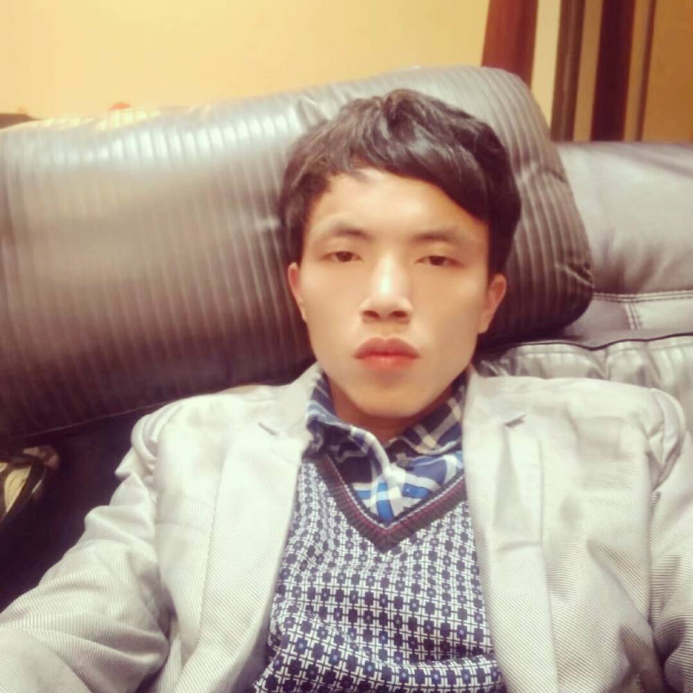 孝顺拾忆蜜蜂的照片