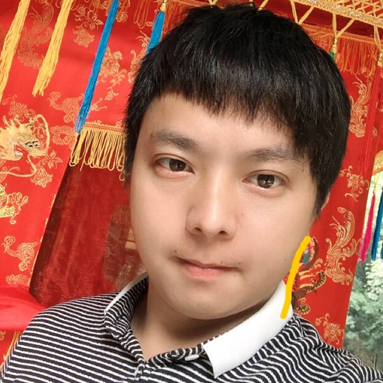 土豆的照片