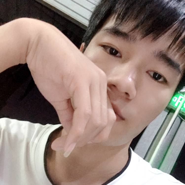 想人陪凝眸斑马的照片