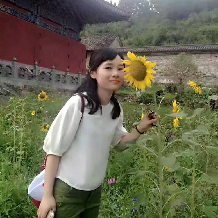 黑米初夏的照片